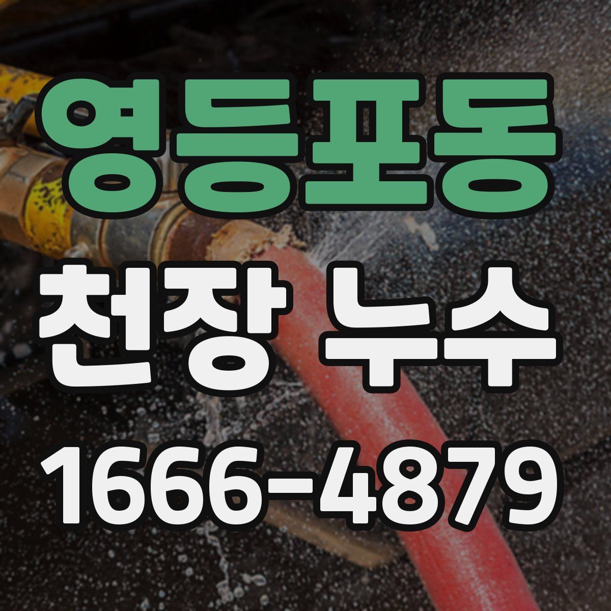 영등포동 천장 누수