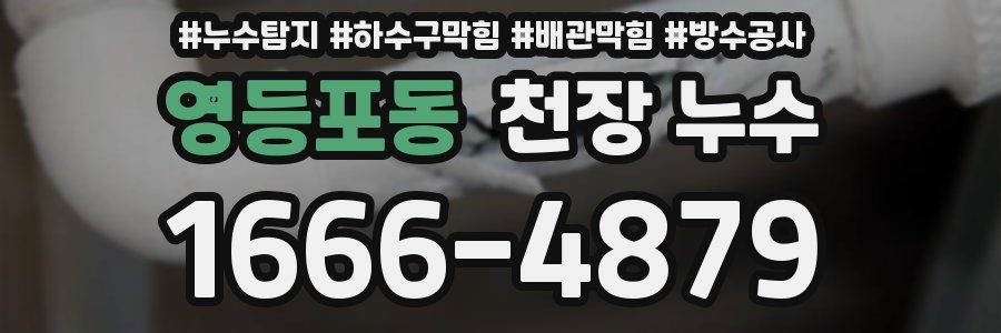 영등포동 천장 누수