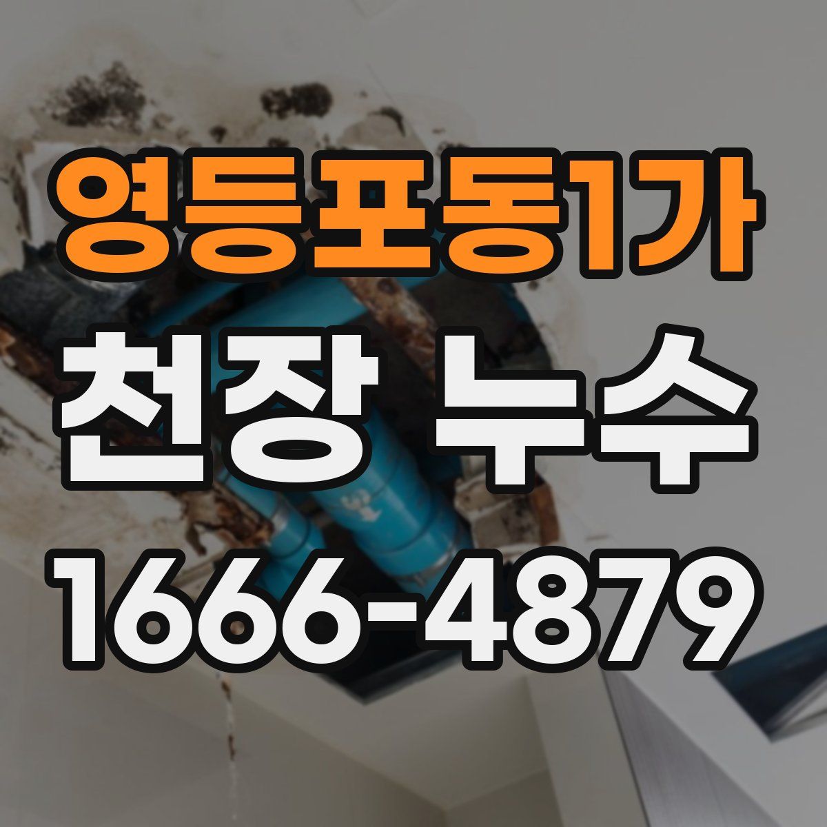 영등포동1가 천장 누수