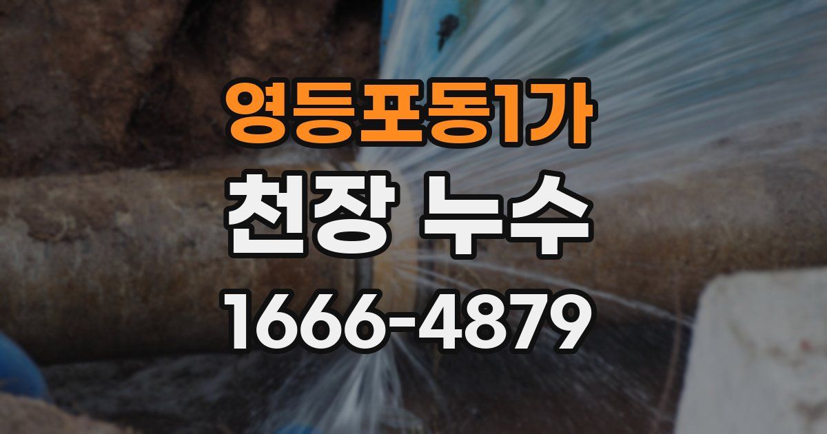 영등포동1가 천장 누수