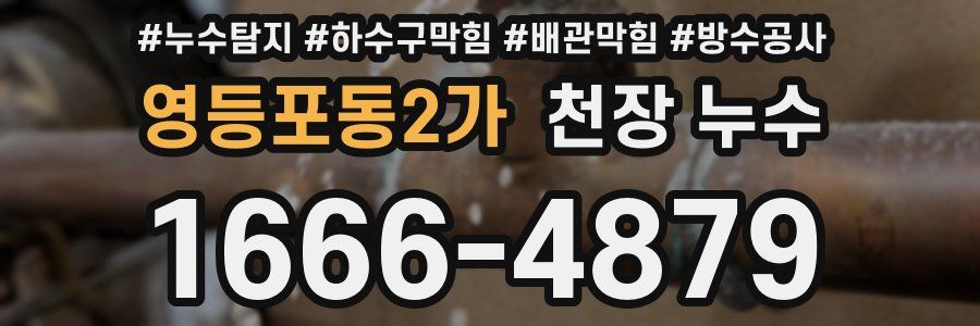 영등포동2가 천장 누수
