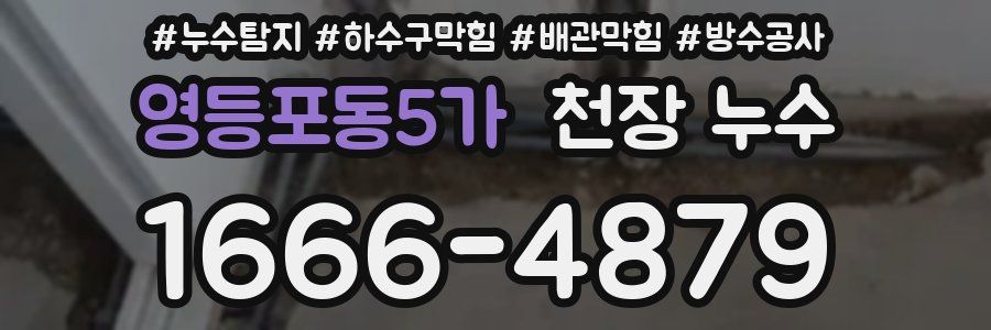 영등포동5가 천장 누수