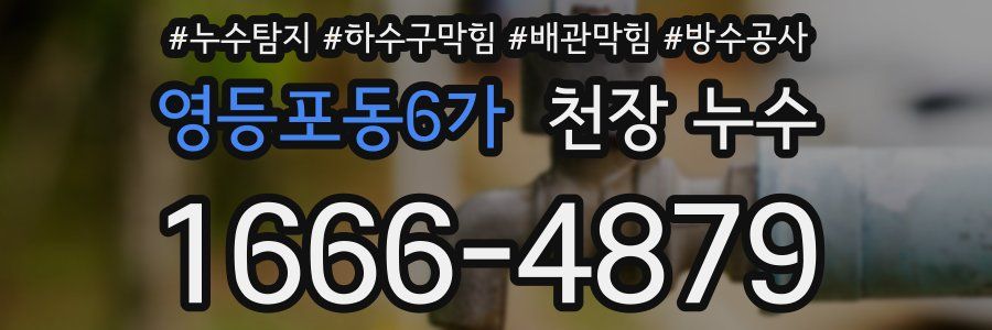 영등포동6가 천장 누수