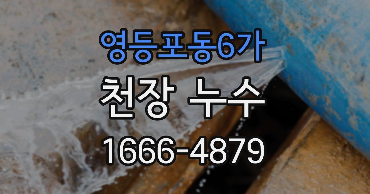 영등포동6가 천장 누수
