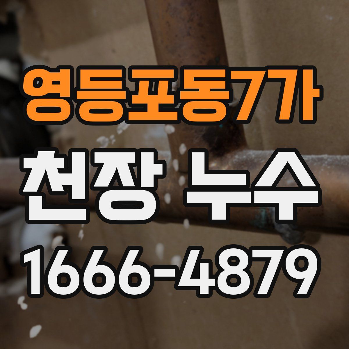 영등포동7가 천장 누수