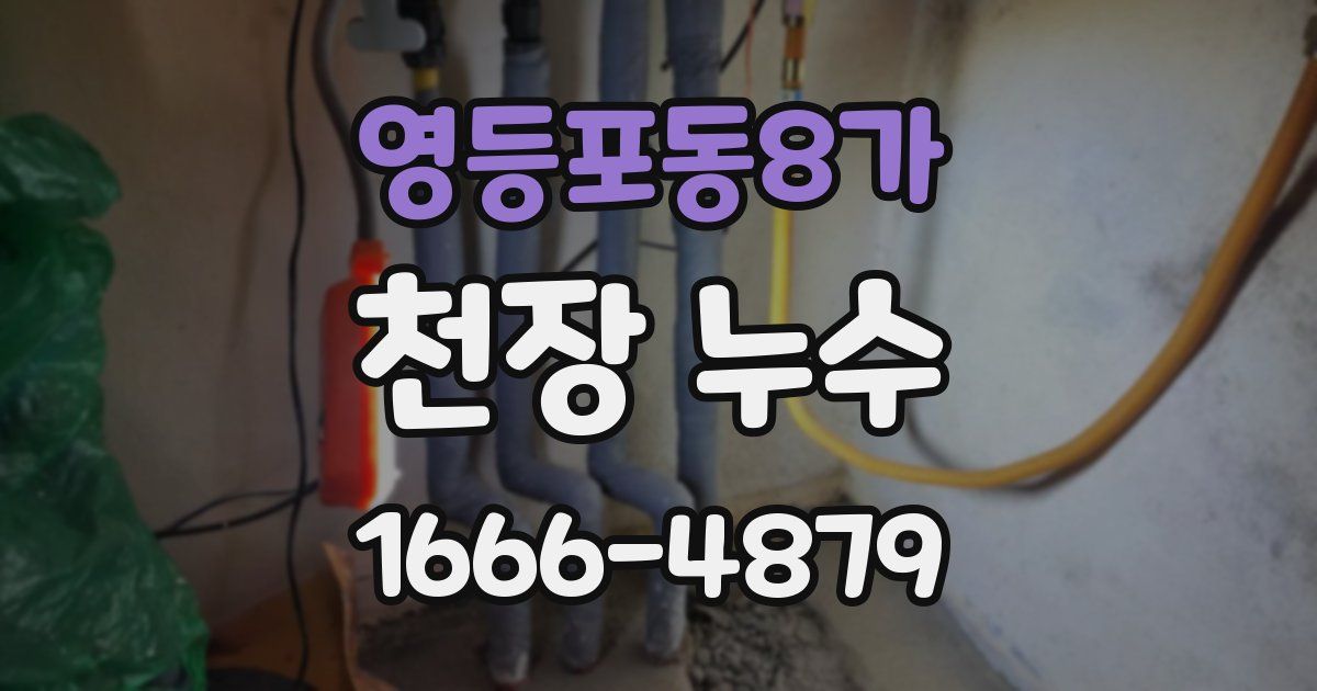 영등포동8가 천장 누수