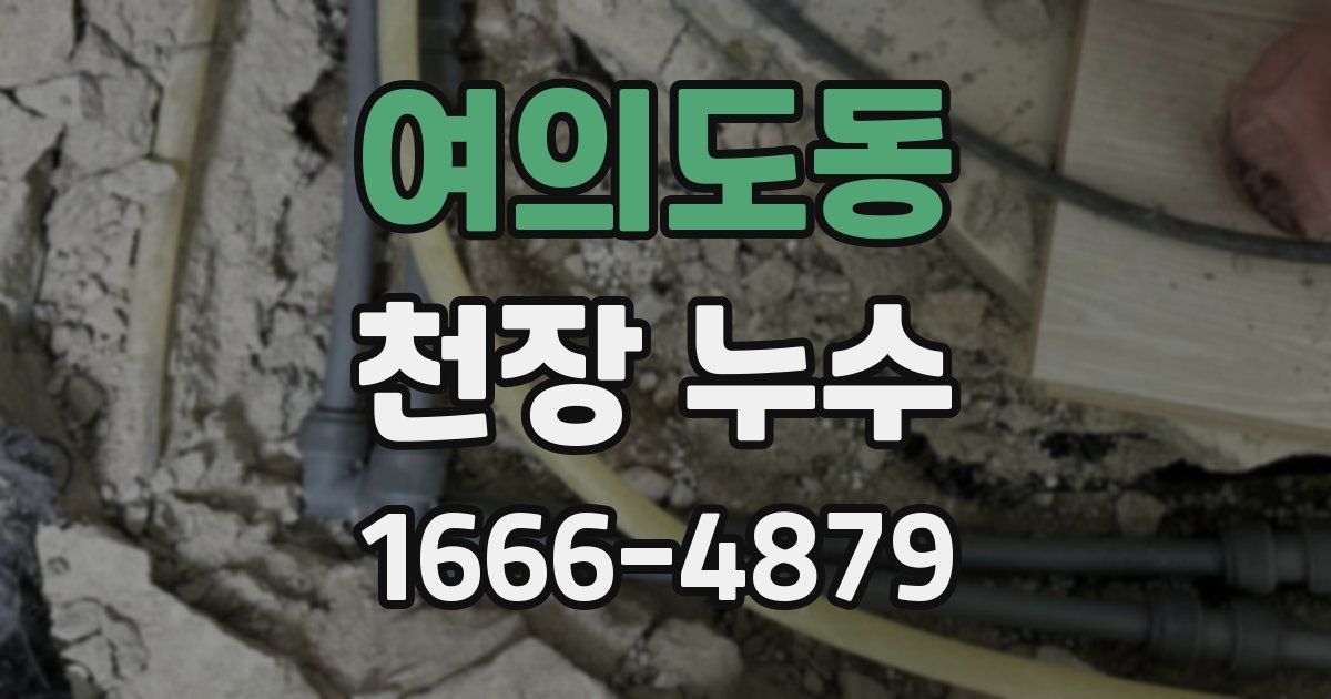 여의도동 천장 누수