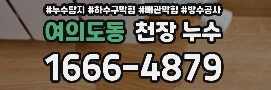 여의도동 천장 누수