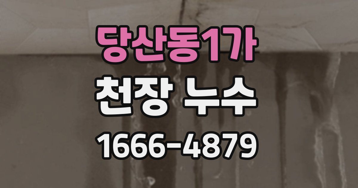 당산동1가 천장 누수