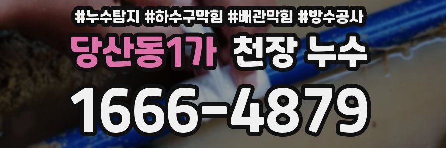 당산동1가 천장 누수