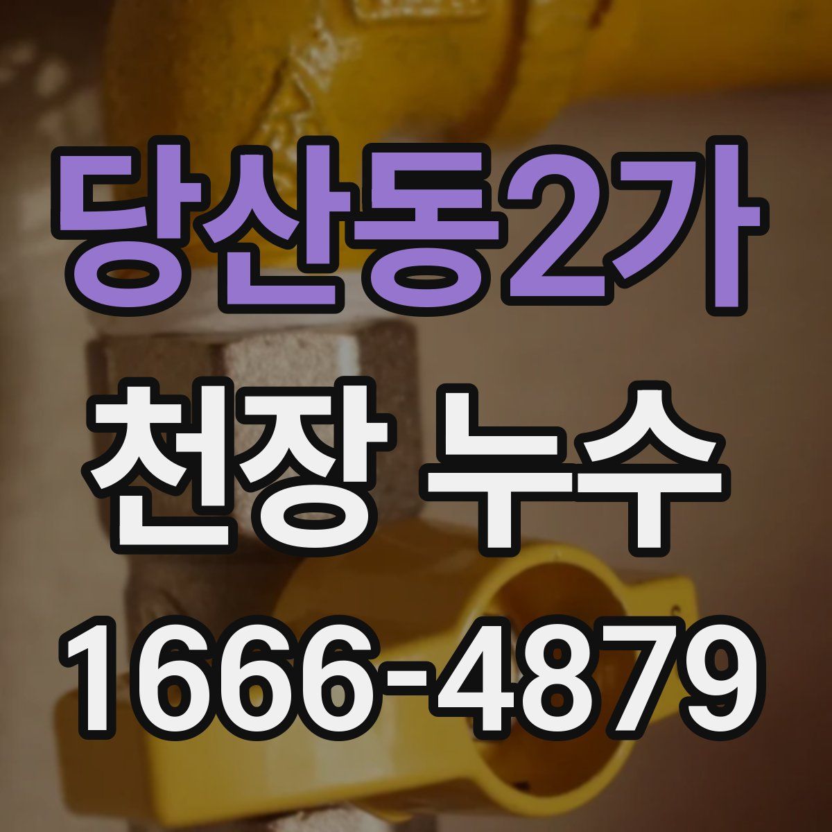 당산동2가 천장 누수