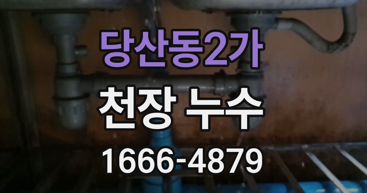 당산동2가 천장 누수