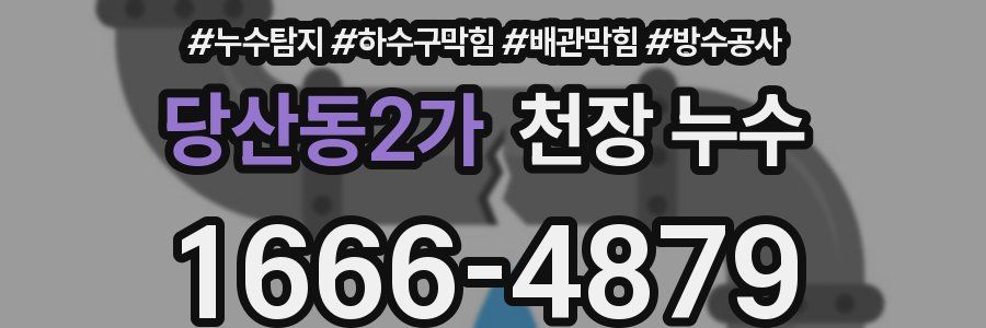 당산동2가 천장 누수