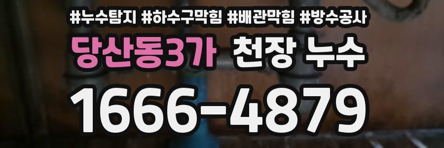 당산동3가 천장 누수