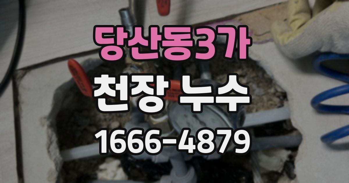 당산동3가 천장 누수