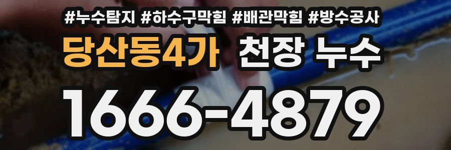 당산동4가 천장 누수