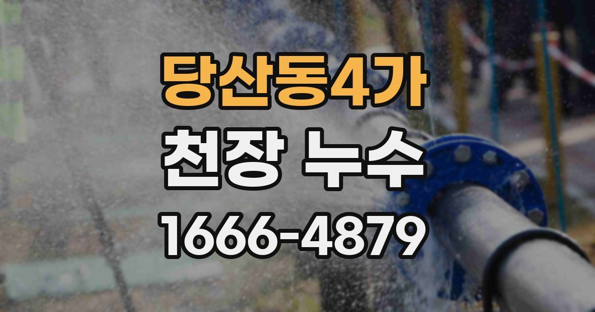 당산동4가 천장 누수