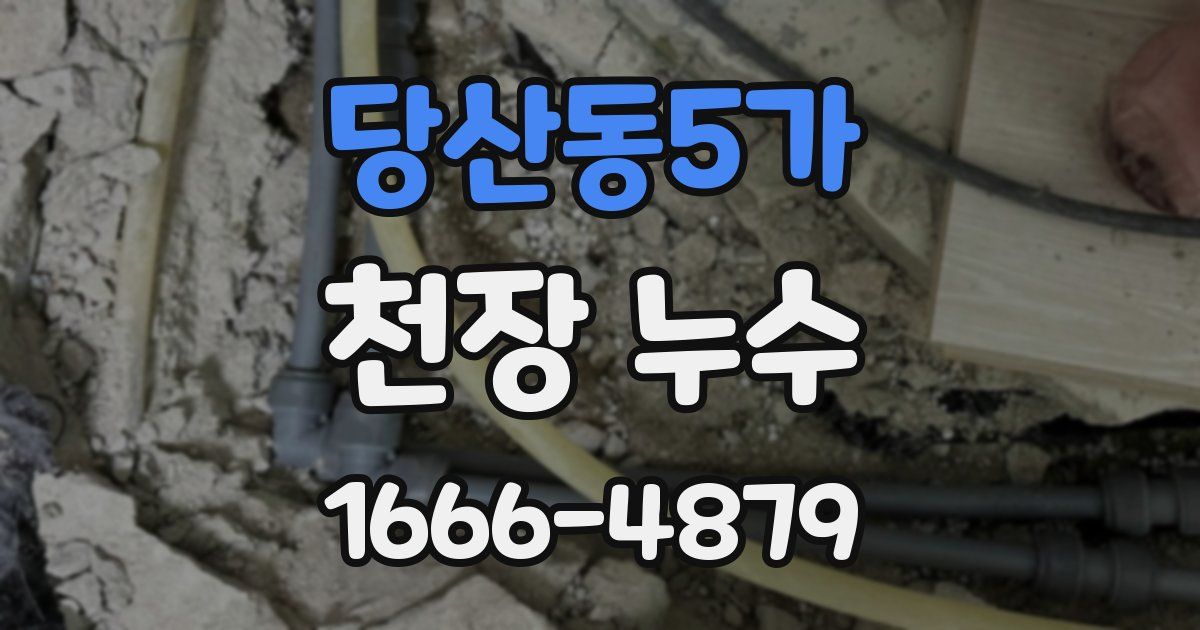 당산동5가 천장 누수