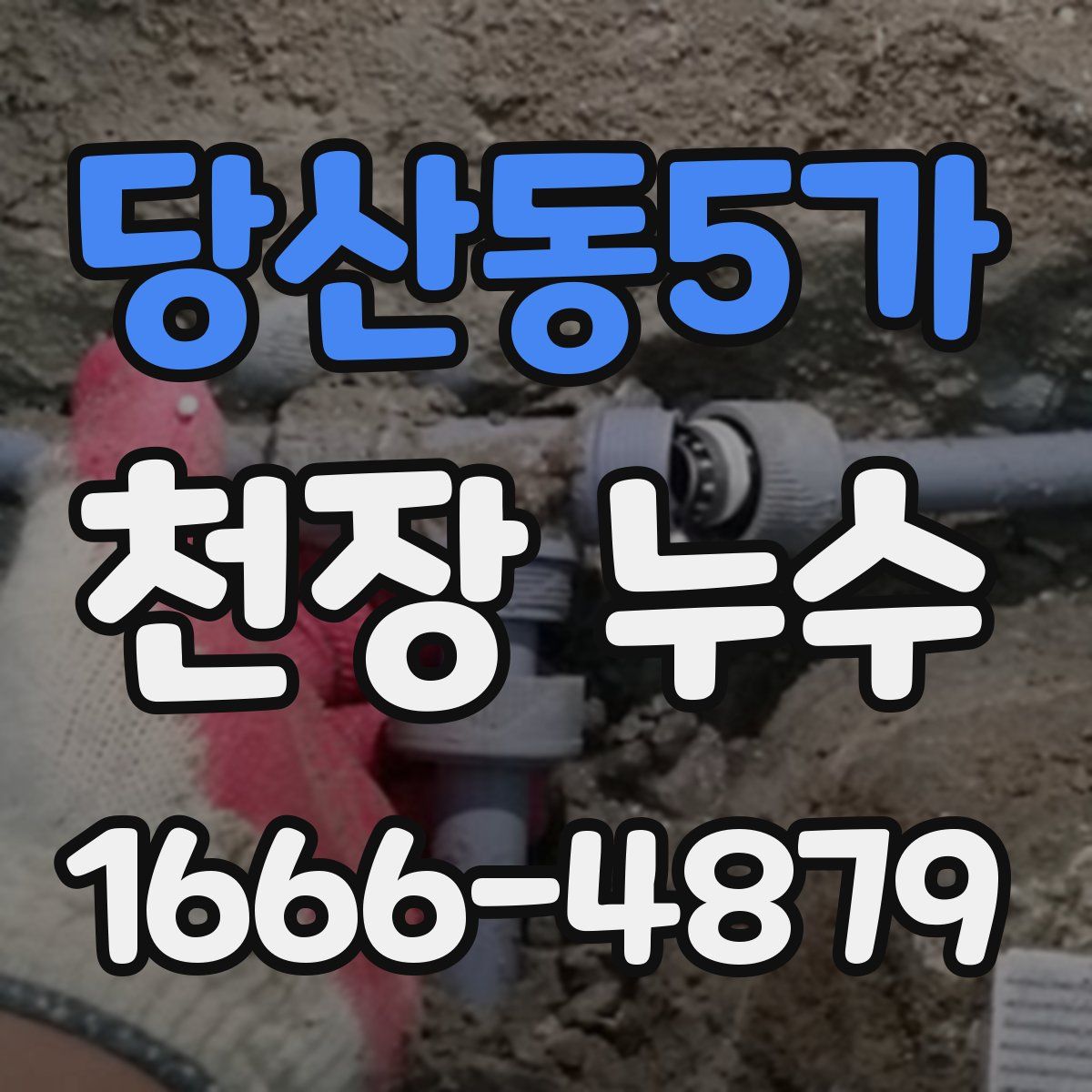 당산동5가 천장 누수
