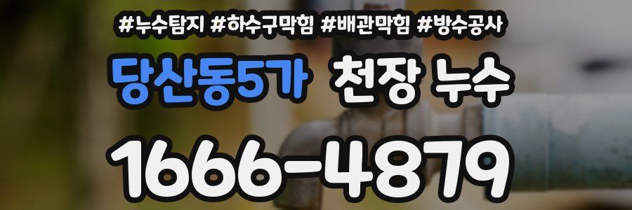 당산동5가 천장 누수