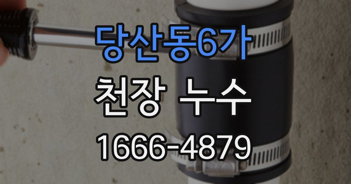 당산동6가 천장 누수