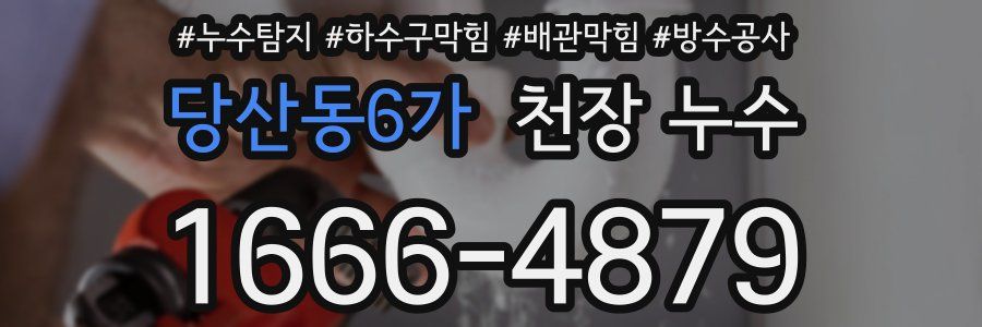 당산동6가 천장 누수