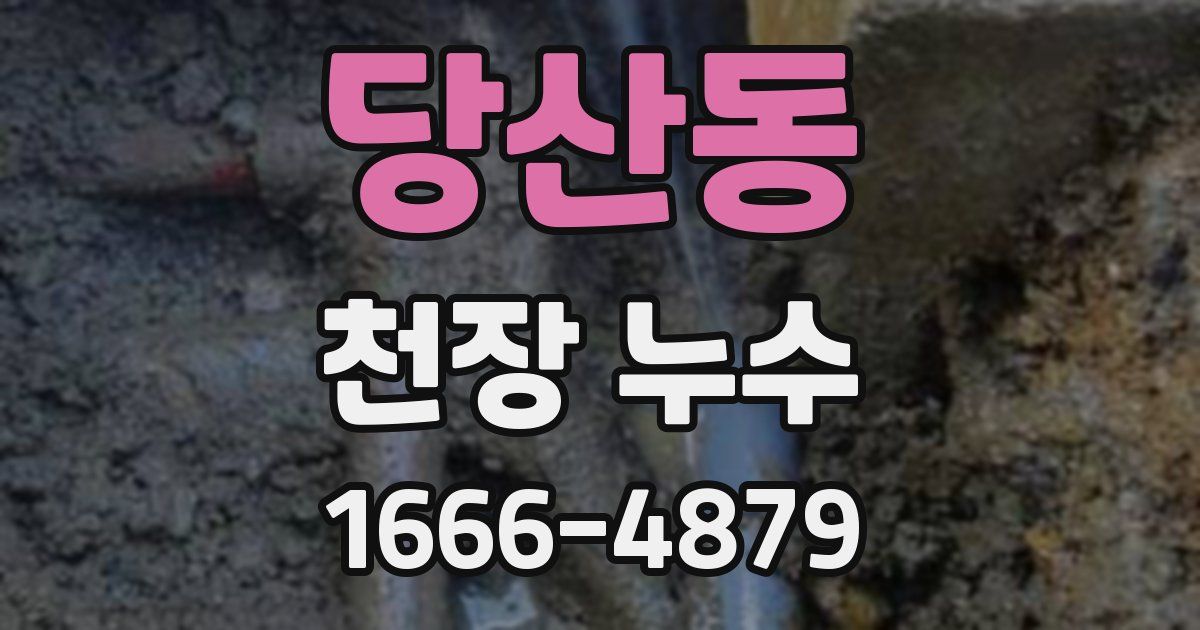 당산동 천장 누수