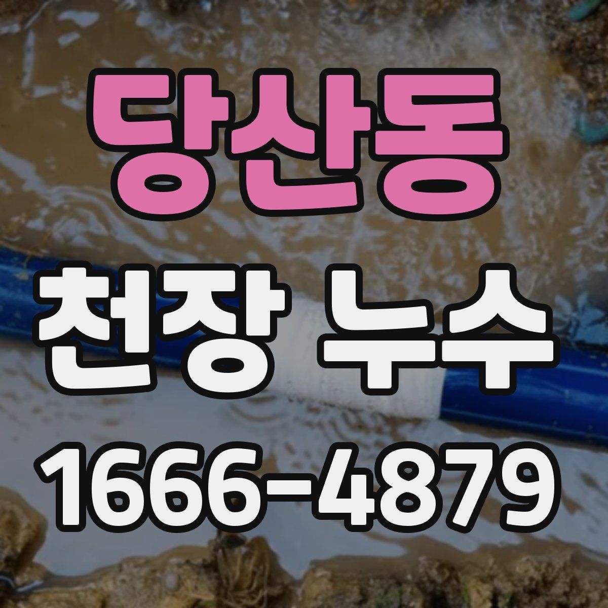 당산동 천장 누수
