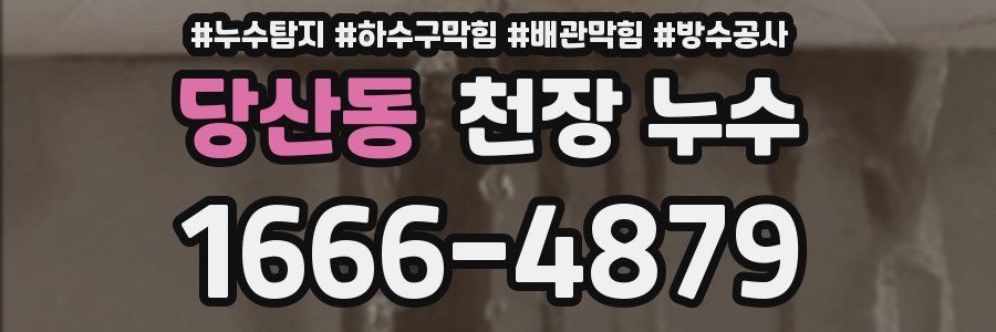 당산동 천장 누수