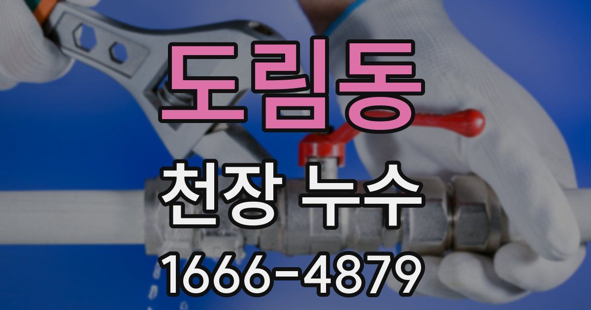 도림동 천장 누수