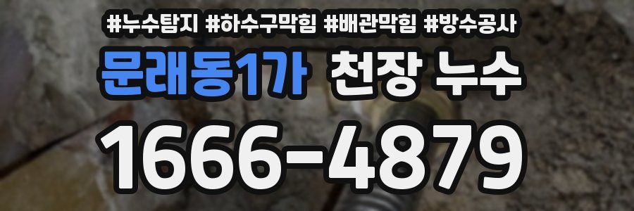 문래동1가 천장 누수