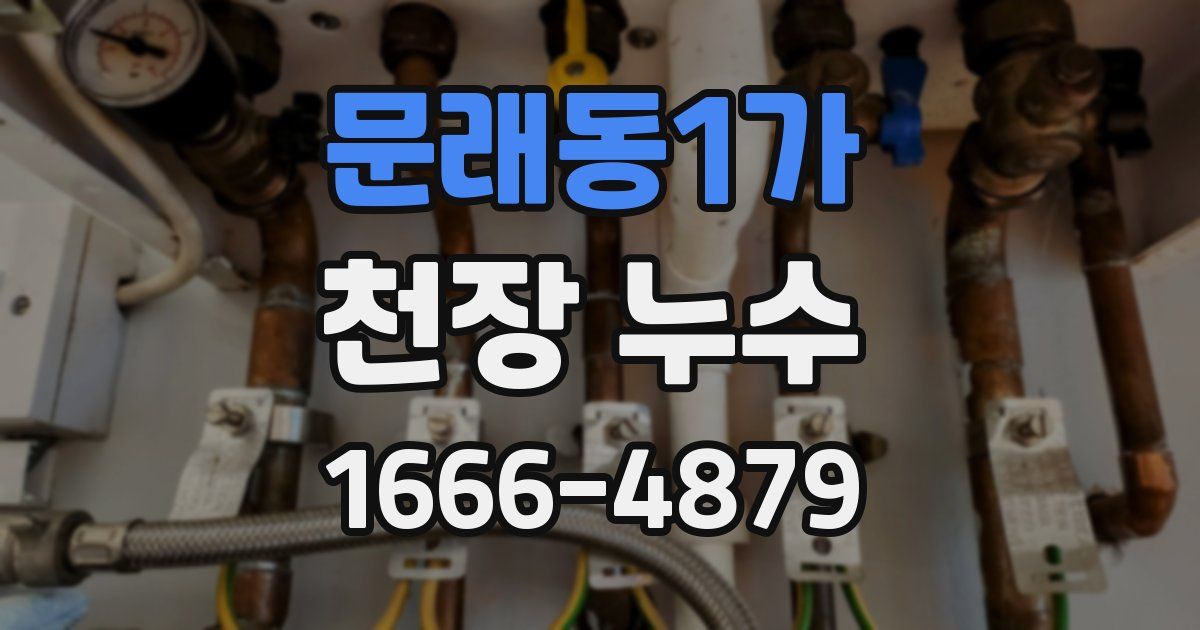 문래동1가 천장 누수
