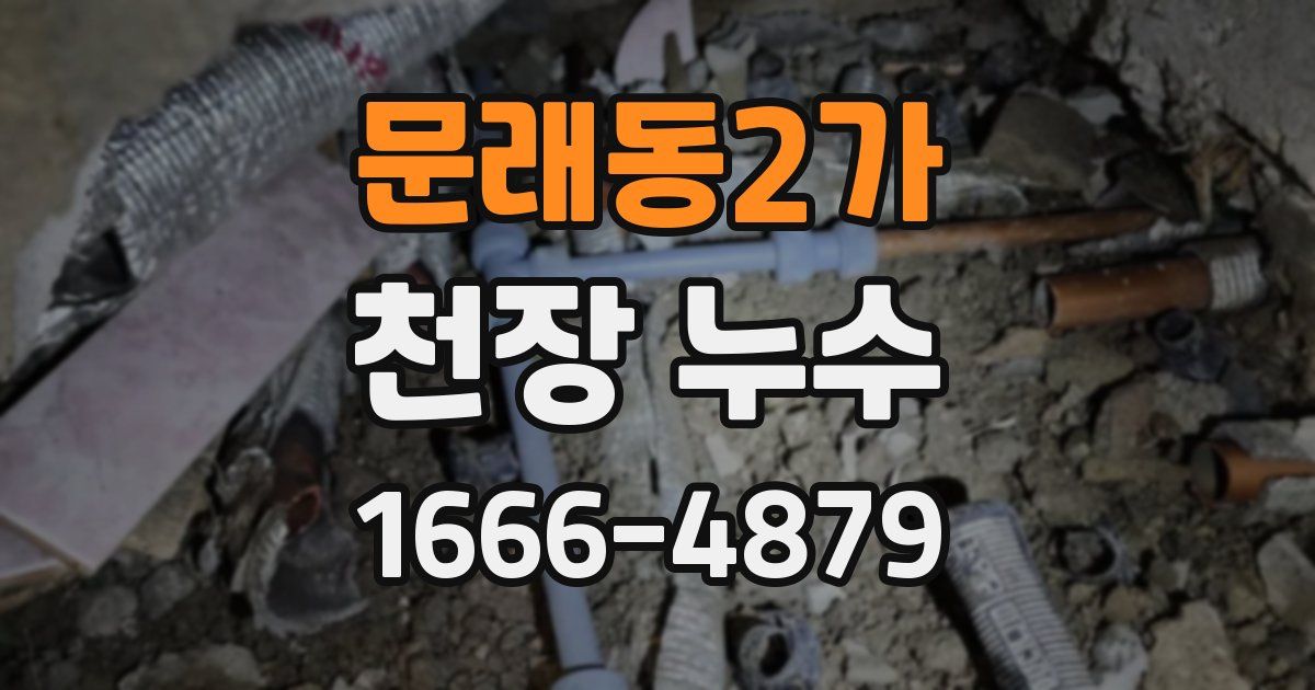문래동2가 천장 누수