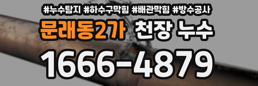 문래동2가 천장 누수
