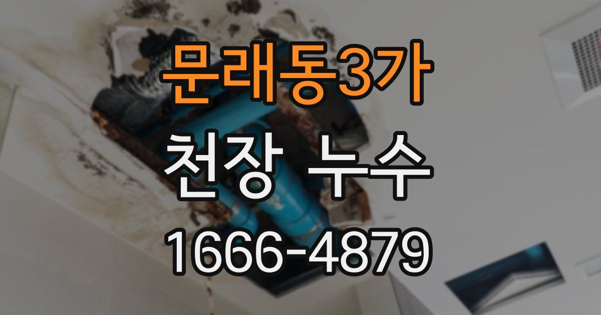 문래동3가 천장 누수
