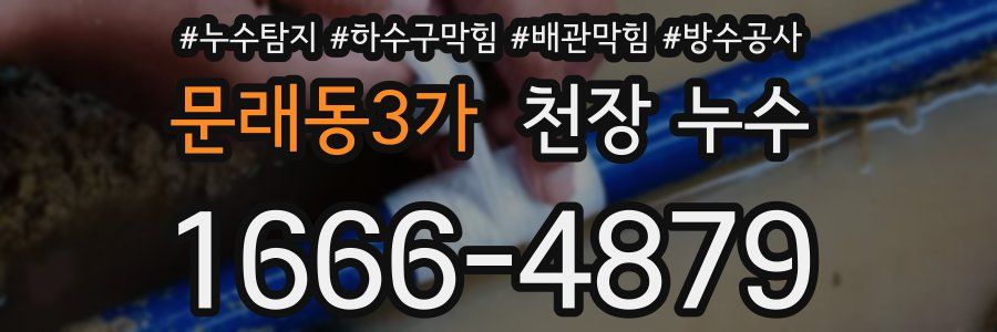문래동3가 천장 누수