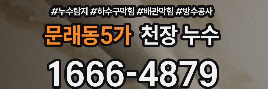 문래동5가 천장 누수