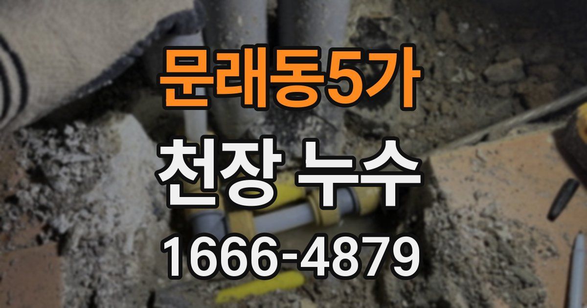 문래동5가 천장 누수
