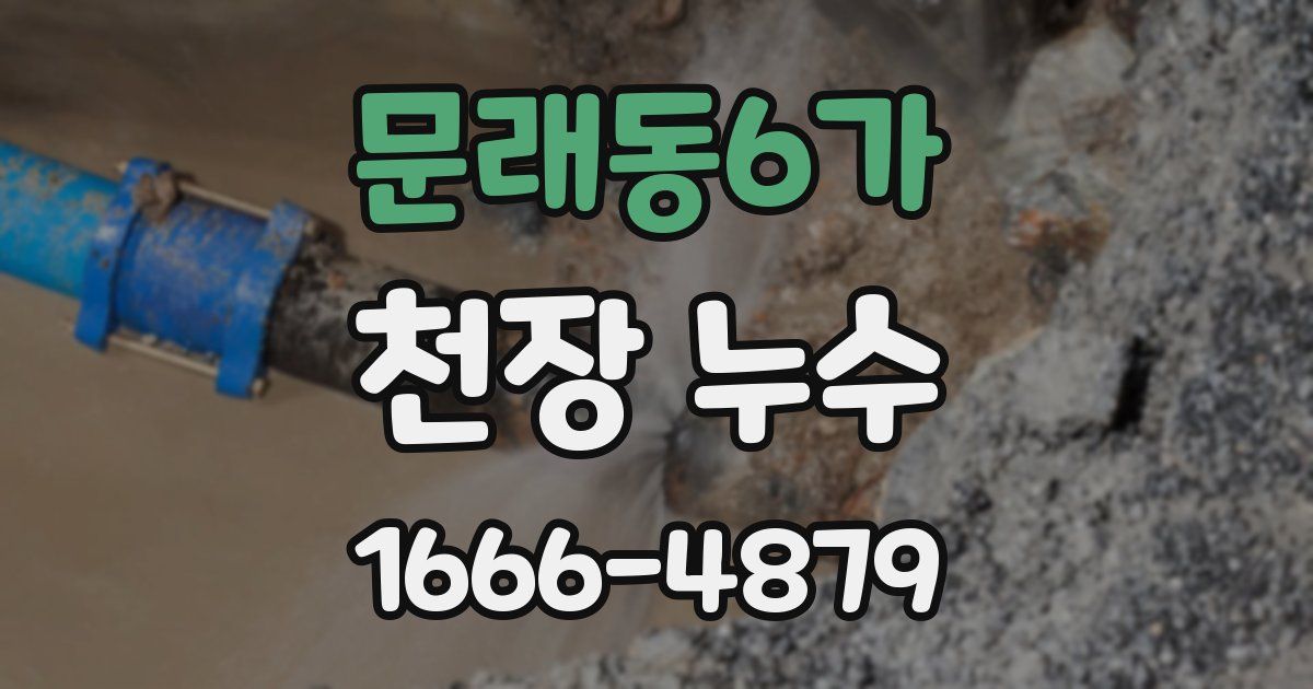 문래동6가 천장 누수