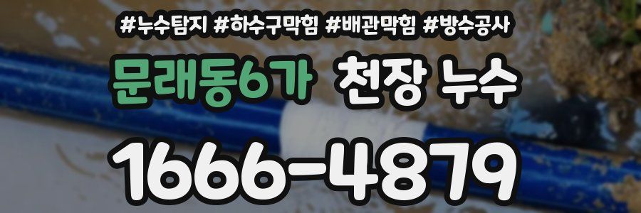 문래동6가 천장 누수