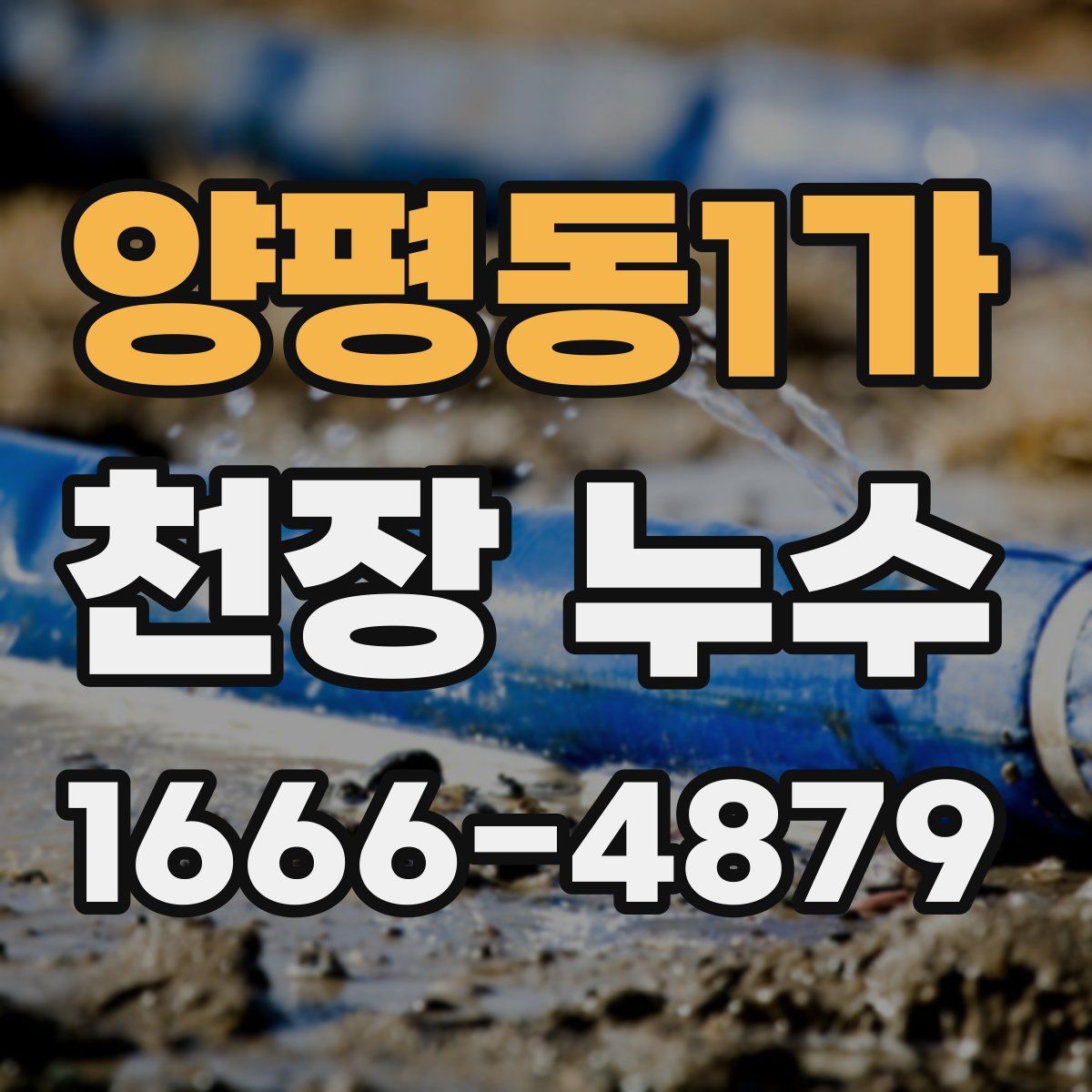 양평동1가 천장 누수