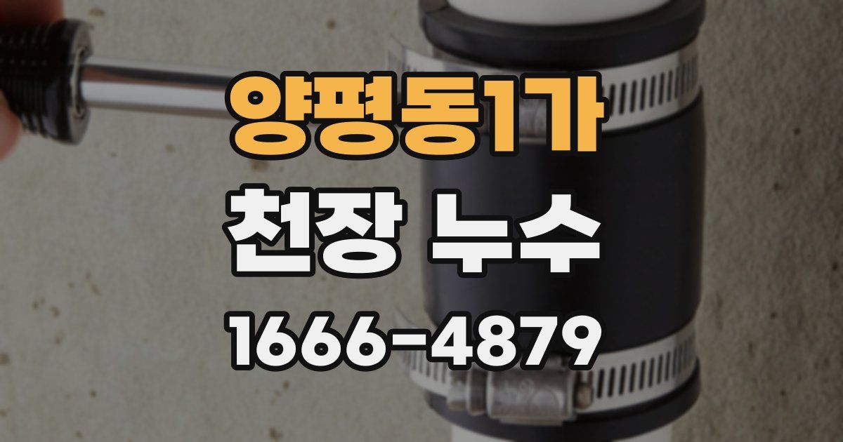 양평동1가 천장 누수