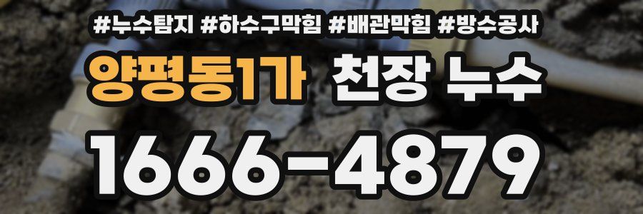 양평동1가 천장 누수