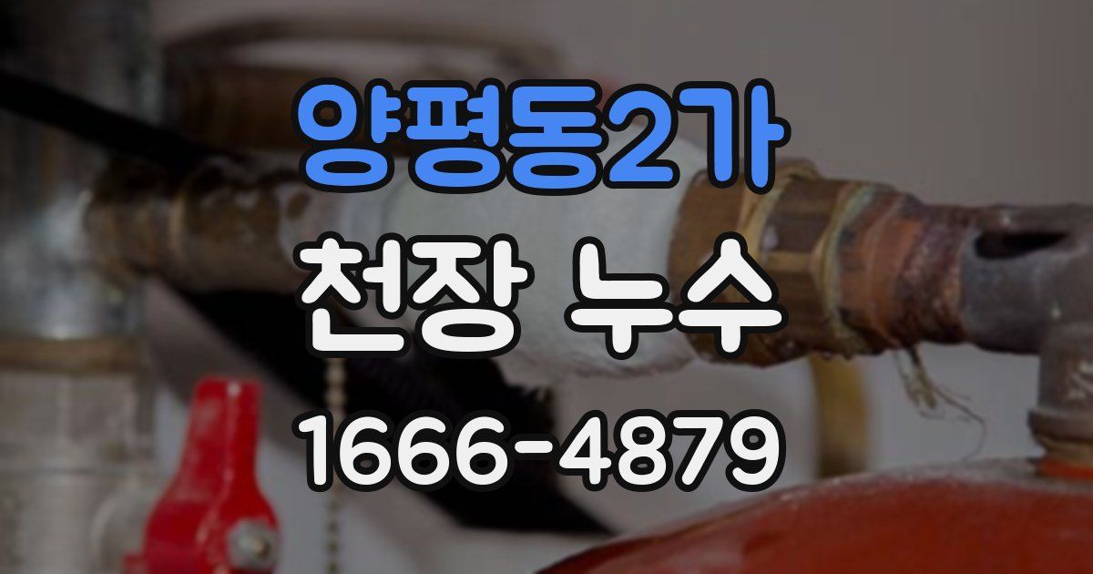양평동2가 천장 누수