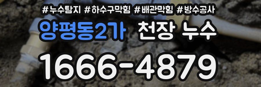 양평동2가 천장 누수