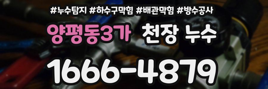 양평동3가 천장 누수