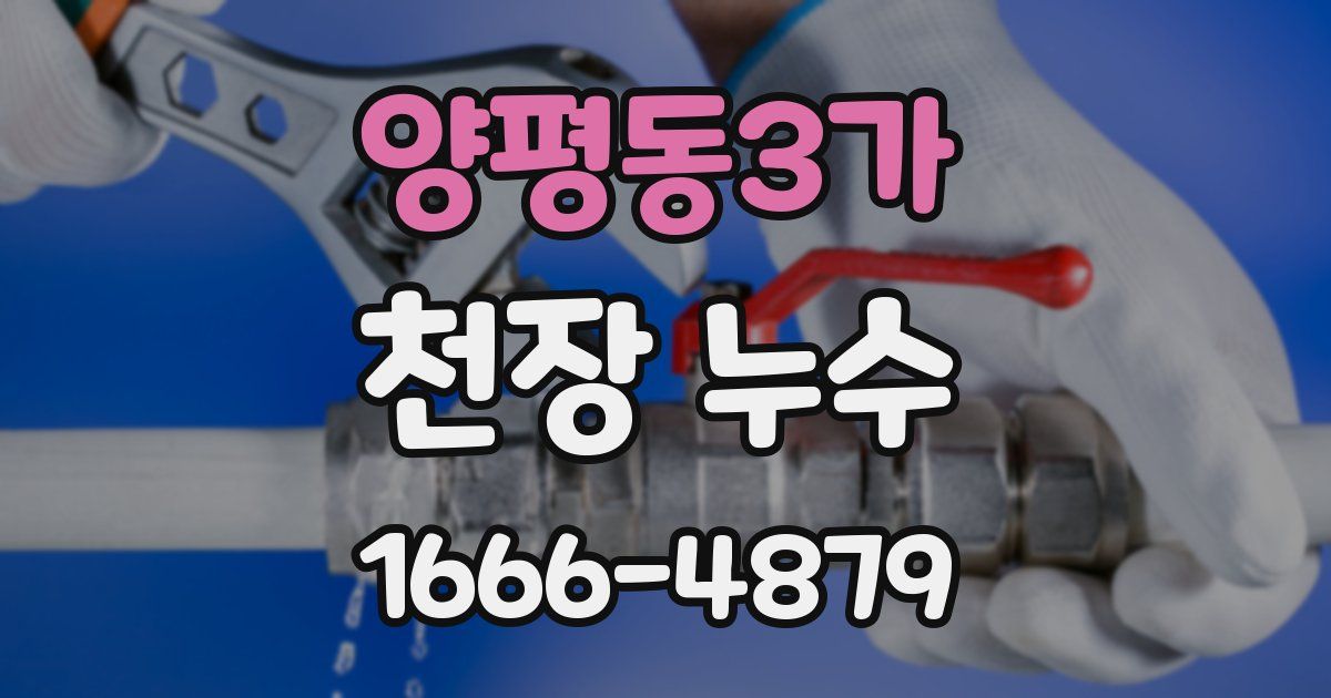 양평동3가 천장 누수