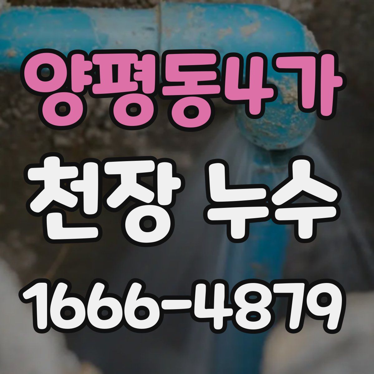 양평동4가 천장 누수
