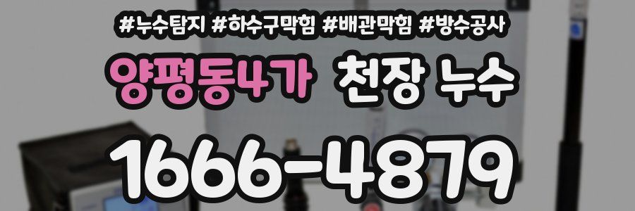 양평동4가 천장 누수