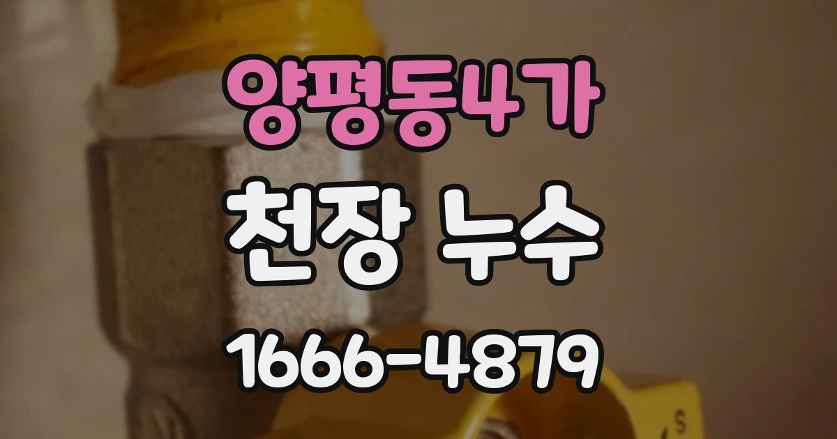 양평동4가 천장 누수